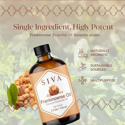 Siva Frankincense Ätherisches Öl - 118 ml – 100% natürliches Boswellia Serrata Öl - für Diffuser, Gesicht, Hautpflege, Aromatherapie, Haarpflege, Kopfhaut und Körpermassage - mit Pipette