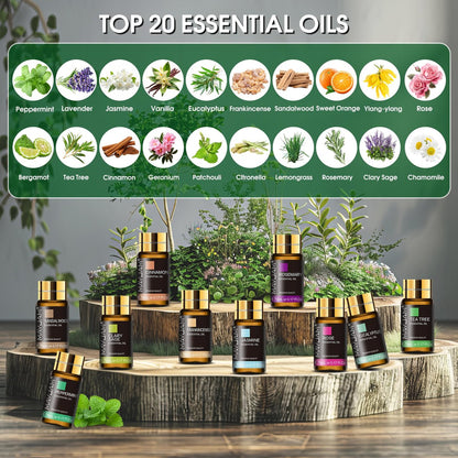 MAYJAM 20-teiliges Teebaum-Ätherisches Öl Geschenkset, reine Duftöle für Diffuser, Luftbefeuchter, Hautpflege, Massage, DIY Kerzen- und Seifenherstellung, Geschenk für Freunde (5 ml)