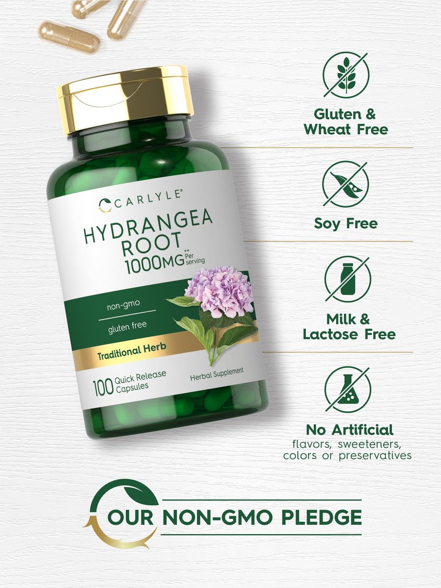 Carlyle Hydrangea-Wurzel Kapseln | 100 Stück | Nicht-GVO, Glutenfrei, Nahrungsergänzungsmittel