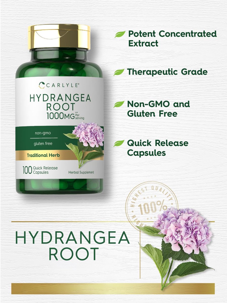 Carlyle Hydrangea-Wurzel Kapseln | 100 Stück | Nicht-GVO, Glutenfrei, Nahrungsergänzungsmittel