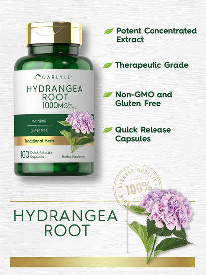 Carlyle Hydrangea-Wurzel Kapseln | 100 Stück | Nicht-GVO, Glutenfrei, Nahrungsergänzungsmittel