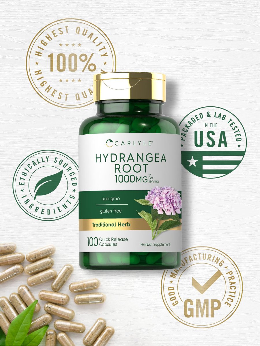 Carlyle Hydrangea-Wurzel Kapseln | 100 Stück | Nicht-GVO, Glutenfrei, Nahrungsergänzungsmittel