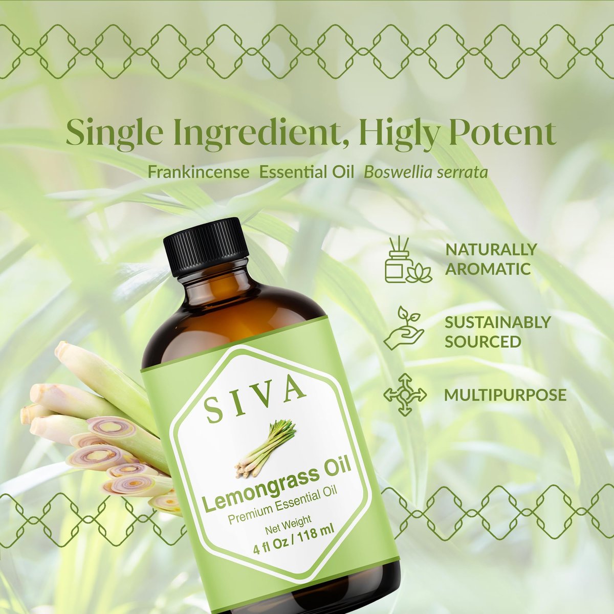 Siva Lemongrass Bio-Öl - 118 ml – 100% natürliches Lemongrasöl für Diffuser, Gesicht, Hautpflege, Aromatherapie, Haarpflege, Kopfhaut und Körpermassage – mit Pipette