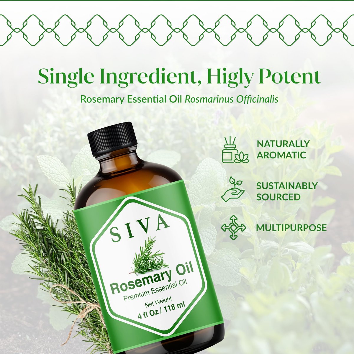 Siva Rosmarinöl - 118 ml – 100% natürliches Rosmarinöl – für Diffuser, Gesicht, Hautpflege, Aromatherapie, Haarpflege, Kopfhaut und Körpermassage – mit Pipette