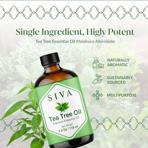 Siva Teebaumöl - 118 ml – 100% natürliches Teebaumöl – für Diffuser, Gesicht, Hautpflege, Aromatherapie, Haarpflege, Kopfhaut und Körpermassage – mit Pipette