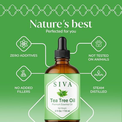 Siva Teebaumöl - 118 ml – 100% natürliches Teebaumöl – für Diffuser, Gesicht, Hautpflege, Aromatherapie, Haarpflege, Kopfhaut und Körpermassage – mit Pipette