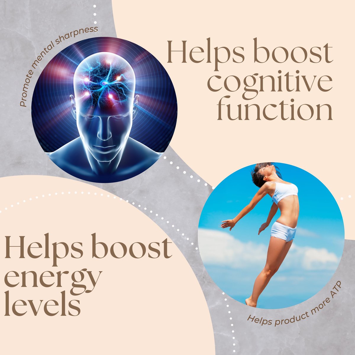 Research Labs NAD+ Supplement 2er-Pack mit patentierter RiboYOUNG™-Formel – NRF2-Aktivator, Nicotinamid-Ribosid, Quercetin, Resveratrol, Betain – Anti-Aging NAD-Supplement, 60 Kapseln
