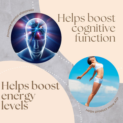 Research Labs NAD+ Supplement 2er-Pack mit patentierter RiboYOUNG™-Formel – NRF2-Aktivator, Nicotinamid-Ribosid, Quercetin, Resveratrol, Betain – Anti-Aging NAD-Supplement, 60 Kapseln