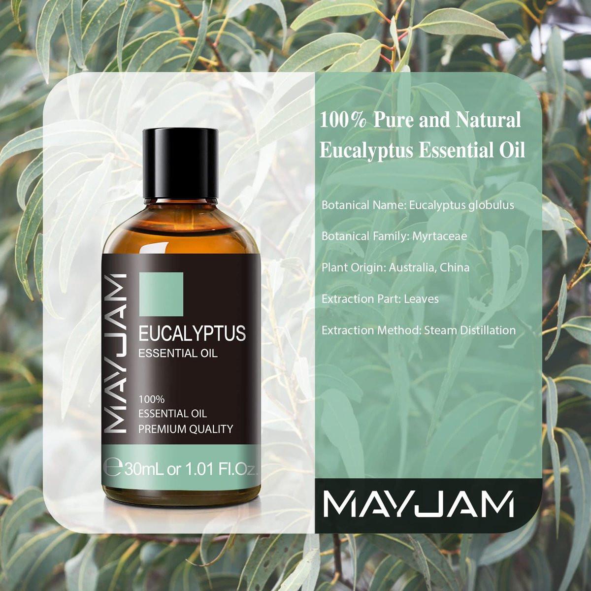 Eukalyptus ätherisches Öl, MAYJAM 30ml/1,01 Fl.oz Reines Eukalyptusöl für Diffuser, Seifen- und Kerzenherstellung, ideal für Wohnzimmer, Schlafzimmer, Büro und Auto