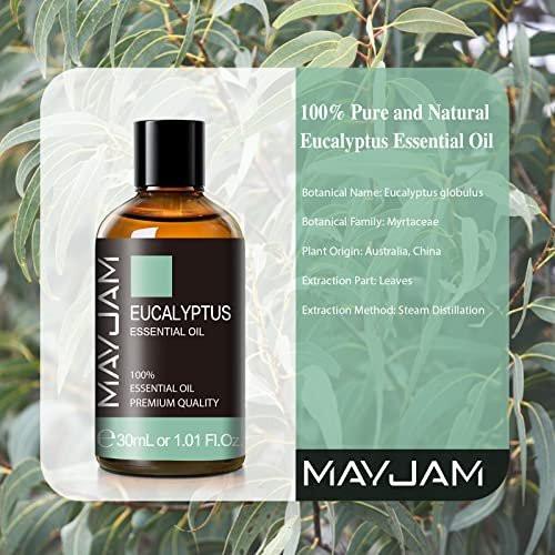 Eukalyptus ätherisches Öl, MAYJAM 30ml/1,01 Fl.oz Reines Eukalyptusöl für Diffuser, Seifen- und Kerzenherstellung, ideal für Wohnzimmer, Schlafzimmer, Büro und Auto
