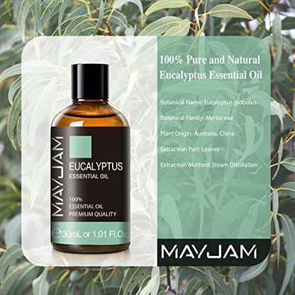 Eukalyptus ätherisches Öl, MAYJAM 30ml/1,01 Fl.oz Reines Eukalyptusöl für Diffuser, Seifen- und Kerzenherstellung, ideal für Wohnzimmer, Schlafzimmer, Büro und Auto