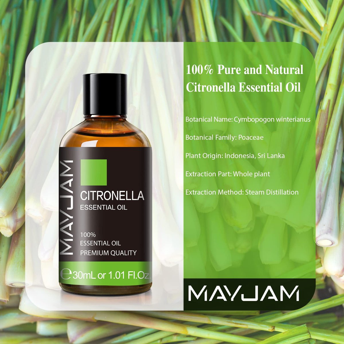 Citronella Ätherisches Öl, MAYJAM 1,01FL.OZ Premium Citronella Öl für Seifen- und Kerzenherstellung, Diffuser, Schlafzimmer, Wohnzimmer, Büro, 30ML/Flasche
