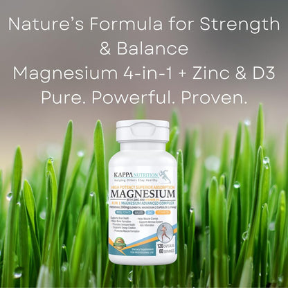 Kappa Nutrition Magnesium 4-in-1, 280 mg elementares Magnesium (Bisglycinat, Malat) + Zink & Vitamin D3, für Gehirn, Schlaf, Energie, Muskeln, Immunsystem, 120 vegane Kapseln