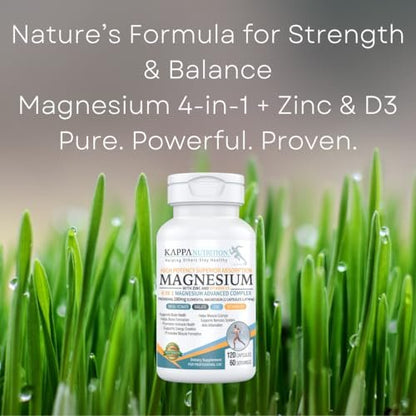 Kappa Nutrition Magnesium 4-in-1, 280 mg elementares Magnesium (Bisglycinat, Malat) + Zink & Vitamin D3, für Gehirn, Schlaf, Energie, Muskeln, Immunsystem, 120 vegane Kapseln