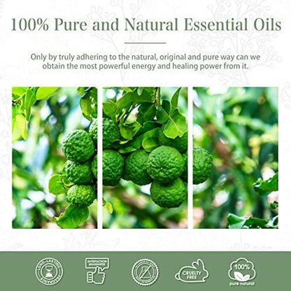 PHATOIL Bergamot Öl 100 ml – Ätherisches Öl für Aromatherapie-Diffuser, Luftbefeuchter, DIY Kerzen- und Seifenherstellung