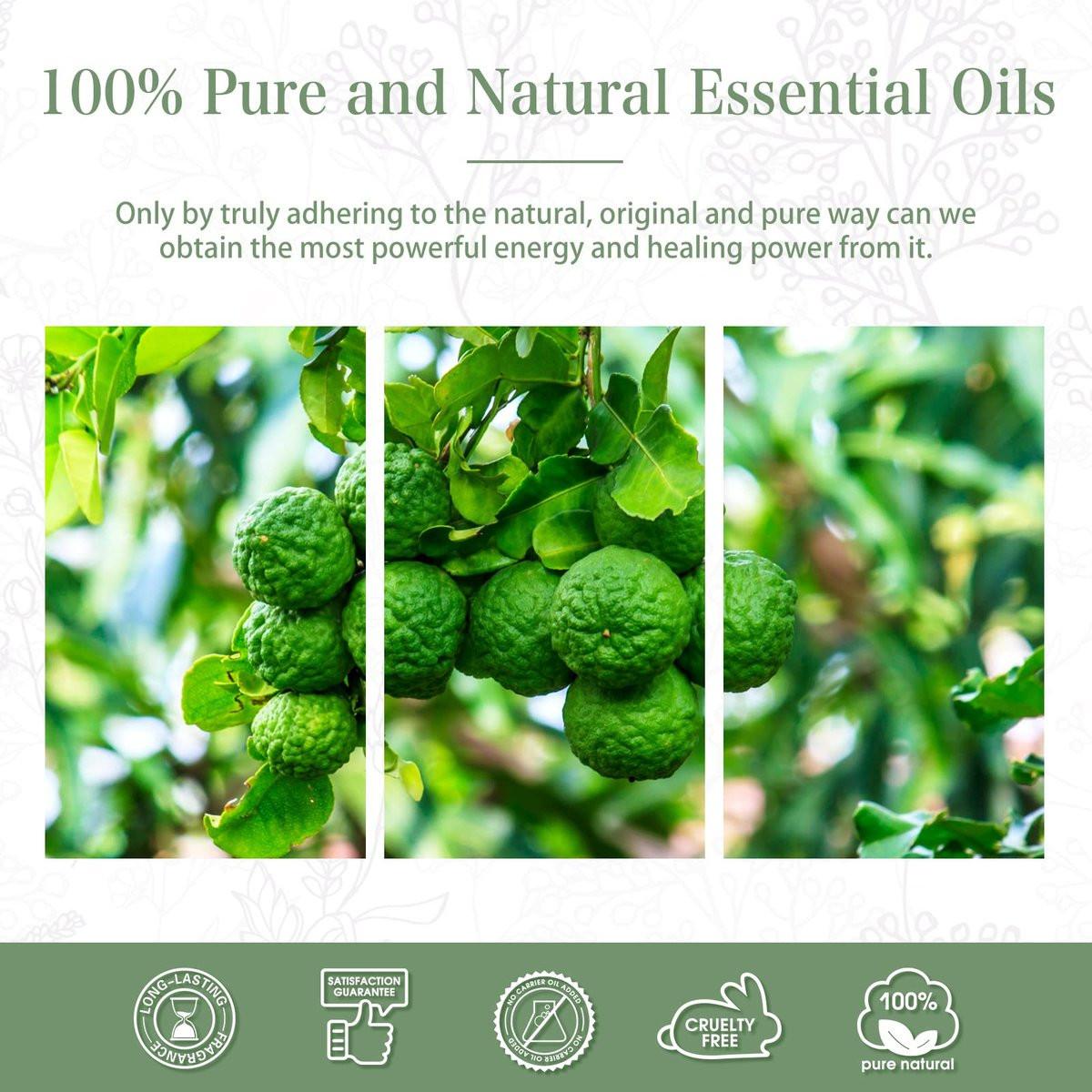 PHATOIL Bergamot Öl 100 ml – Ätherisches Öl für Aromatherapie-Diffuser, Luftbefeuchter, DIY Kerzen- und Seifenherstellung