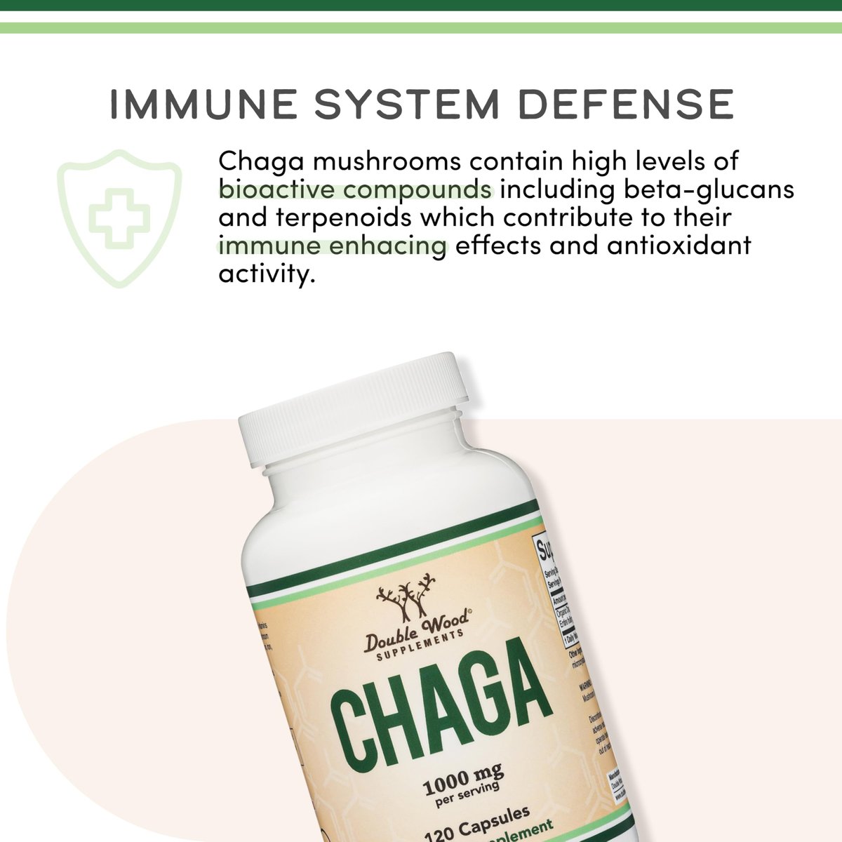 Chaga Pilze Kapseln 120 Stück (1.000 mg Chaga-Pilzpulver pro Portion) – Reich an Polysacchariden, Beta-Glucanen und Terpenoiden – Angebaut und hergestellt in den USA, vegan, Bio von Double Wood