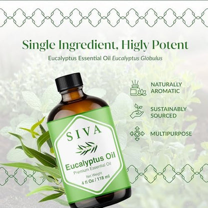 Siva Eukalyptusöl – 4 Fl Oz – 100% natürliches Eukalyptusöl für Diffuser, Gesicht, Hautpflege, Aromatherapie, Haarpflege, Kopfhaut und Körpermassage – mit Pipette