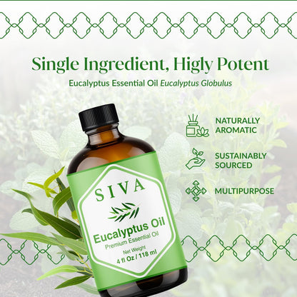 Siva Eukalyptusöl – 4 Fl Oz – 100% natürliches Eukalyptusöl für Diffuser, Gesicht, Hautpflege, Aromatherapie, Haarpflege, Kopfhaut und Körpermassage – mit Pipette