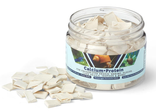 KatsAquatics Calcium + Protein – Für starke Panzer und gesunde Häutungen | 100 % natürlich, sinkt schnell, für Garnelen, Schnecken, Plecos & mehr