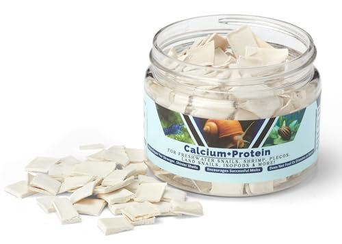 KatsAquatics Calcium + Protein – Für starke Panzer und gesunde Häutungen | 100 % natürlich, sinkt schnell, für Garnelen, Schnecken, Plecos & mehr