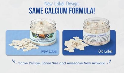 KatsAquatics Calcium + Protein – Für starke Panzer und gesunde Häutungen | 100 % natürlich, sinkt schnell, für Garnelen, Schnecken, Plecos & mehr