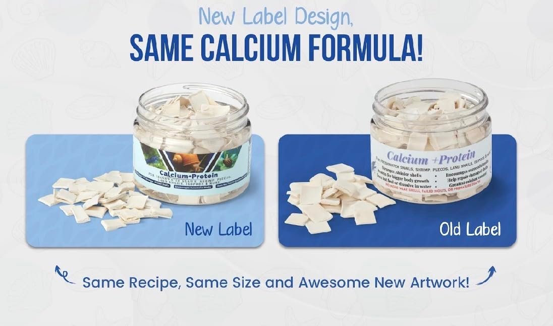KatsAquatics Calcium + Protein – Für starke Panzer und gesunde Häutungen | 100 % natürlich, sinkt schnell, für Garnelen, Schnecken, Plecos & mehr