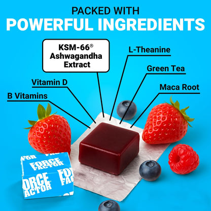 Force Factor Amazing Ashwa – Ashwagandha KSM-66 für Stressabbau, Gedächtnis, Fokus und Immunsystem – 60 Soft Chews, Triple Berry