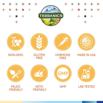 Terranics Probiotika 120 Milliarden mit Präbiotika & Verdauungsenzymen, 30 getestete Stämme, Komplette Verdauungs- & Immununterstützung, Non-GMO, Ohne Soja, Milchprodukte & Gluten, für Männer und Frauen, 30 vegane Kapseln