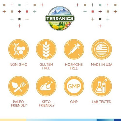 Terranics Probiotika 120 Milliarden mit Präbiotika & Verdauungsenzymen, 30 getestete Stämme, Komplette Verdauungs- & Immununterstützung, Non-GMO, Ohne Soja, Milchprodukte & Gluten, für Männer und Frauen, 30 vegane Kapseln