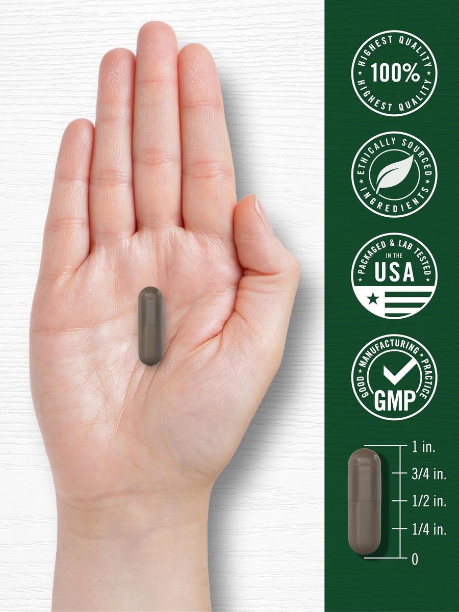 Carlyle Shilajit Kapseln | 90 Stück | Non-GMO & Glutenfrei Nahrungsergänzungsmittel