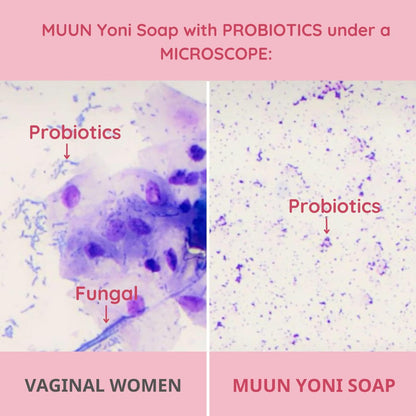 Muun Yoni Seifenbar Set - 3er Pack pH-Balance Probiotika & Natürliche Inhaltsstoffe - Sanfte Reinigung Beseitigt Geruch Vaginale Gesundheit - Intimwaschmittel - Feuchtigkeitsspendend (Rose)