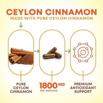 Bio Ceylon Zimt Kapseln – Extra starke, zertifizierte Bio Ceylon Zimt 1800 mg pro Portion – Energie- und Herzunterstützung, Antioxidans für Frauen und Männer – in den USA abgefüllt – 60 Kapseln
