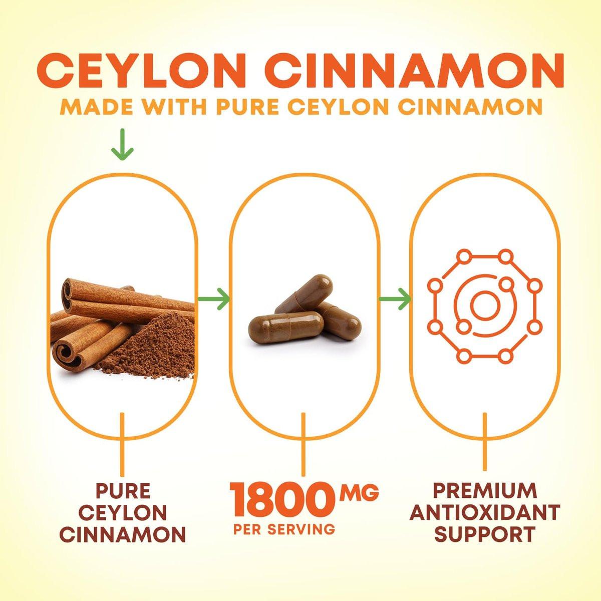 Bio Ceylon Zimt Kapseln – Extra starke, zertifizierte Bio Ceylon Zimt 1800 mg pro Portion – Energie- und Herzunterstützung, Antioxidans für Frauen und Männer – in den USA abgefüllt – 60 Kapseln
