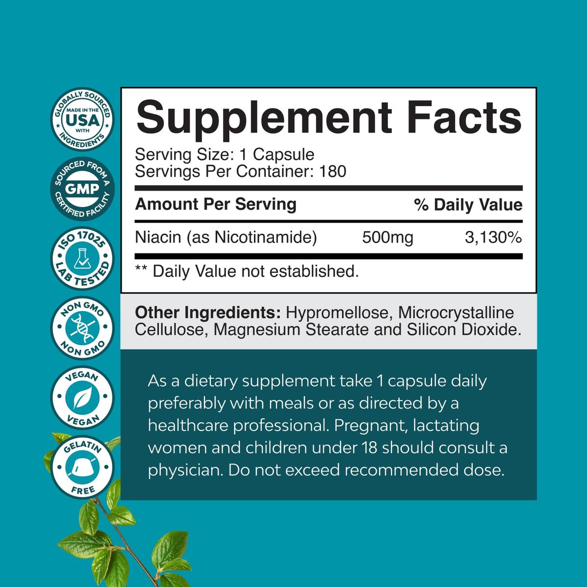 Vitamin B3 Niacinamid 500mg Kapseln - Mitochondrien Energie und Hautergänzung - Niacin-Flush-freies Nicotinamid 500mg - 180 Kapseln