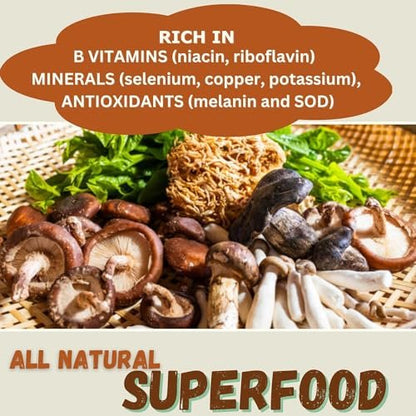 Cherie Sweet Heart 7 Mushroom Extract Powder – USDA Bio Superfood Mischung mit Löwenmähne, Reishi, Cordyceps, Maitake, Shiitake, Truthahnschwanz & Chaga – Vegan, Non-GMO, Glutenfrei – 3,5 oz