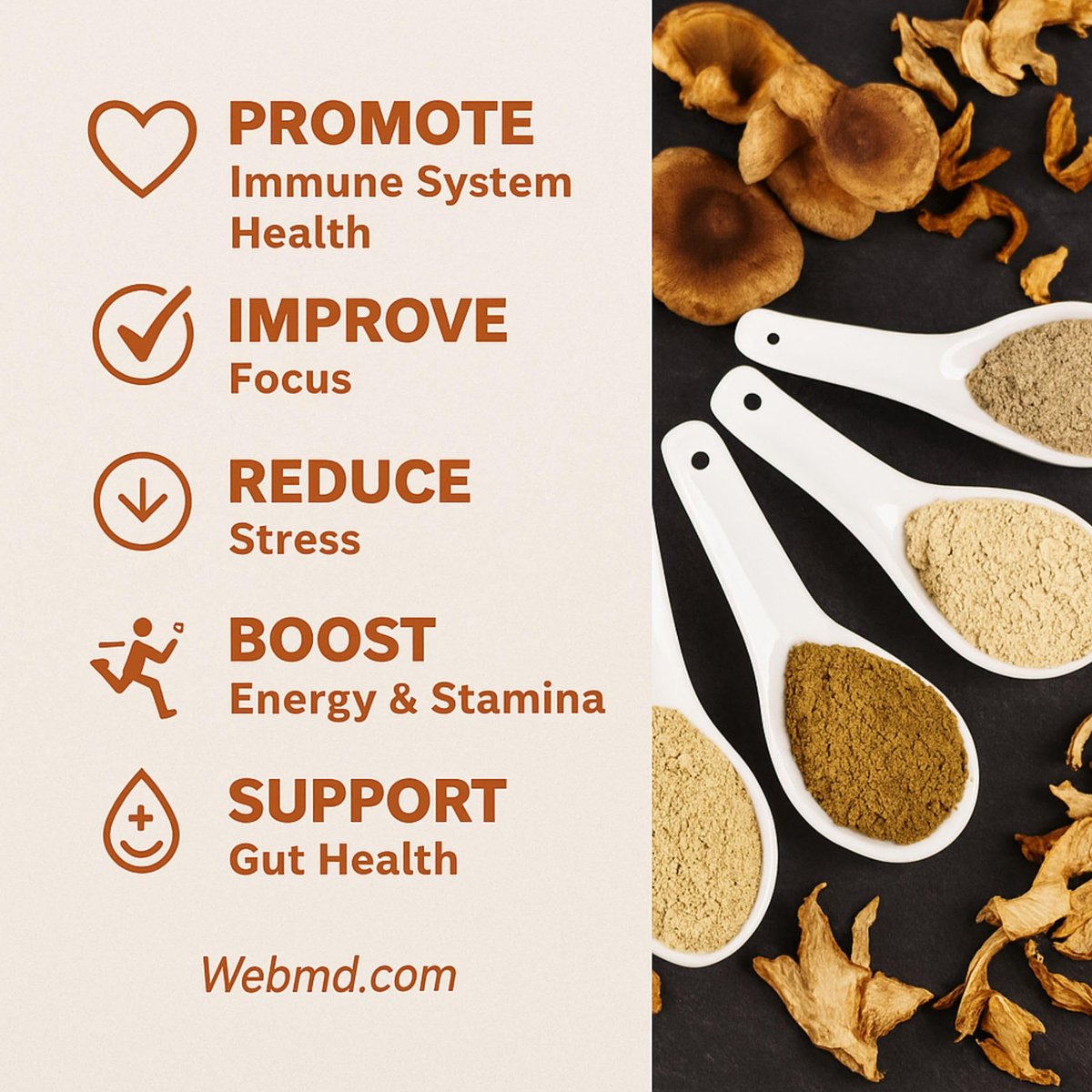 Cherie Sweet Heart 7 Mushroom Extract Powder – USDA Bio Superfood Mischung mit Löwenmähne, Reishi, Cordyceps, Maitake, Shiitake, Truthahnschwanz & Chaga – Vegan, Non-GMO, Glutenfrei – 3,5 oz