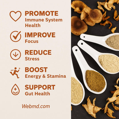Cherie Sweet Heart 7 Mushroom Extract Powder – USDA Bio Superfood Mischung mit Löwenmähne, Reishi, Cordyceps, Maitake, Shiitake, Truthahnschwanz & Chaga – Vegan, Non-GMO, Glutenfrei – 3,5 oz