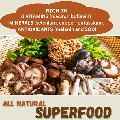 Cherie Sweet Heart 7 Mushroom Extract Powder – USDA Bio Superfood Mischung mit Löwenmähne, Reishi, Cordyceps, Maitake, Shiitake, Truthahnschwanz & Chaga – Vegan, Non-GMO, Glutenfrei – 3,5 oz