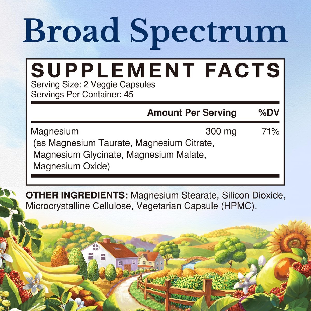 Vitalitown Magnesium Komplex | 300 mg elementares Magnesium | Magnesiumcitrat, Glycinat, Taurat, Malat | Non-GMO, glutenfrei, 90 vegane Kapseln für Knochen, Gehirn, Herz