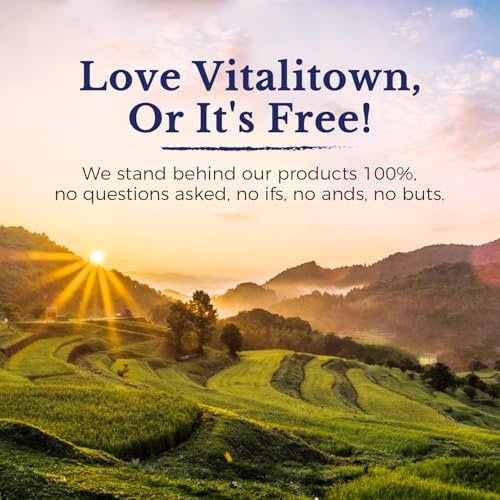 Vitalitown Moringa Kapseln – Reine Moringa Oleifera Blätter, Ohne Stängel, Kein Koffein, Energie & Immunsystem, 90 Kapseln