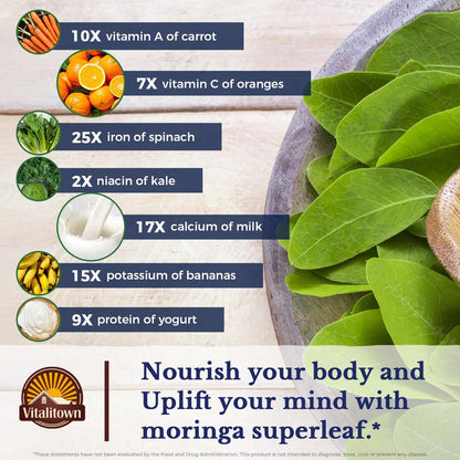 Vitalitown Moringa Kapseln – Reine Moringa Oleifera Blätter, Ohne Stängel, Kein Koffein, Energie & Immunsystem, 90 Kapseln
