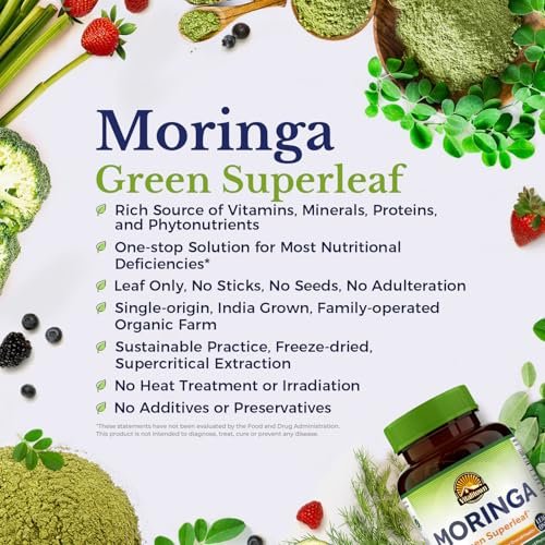 Vitalitown Moringa Kapseln – Reine Moringa Oleifera Blätter, Ohne Stängel, Kein Koffein, Energie & Immunsystem, 90 Kapseln
