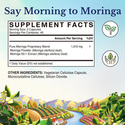 Vitalitown Moringa Kapseln – Reine Moringa Oleifera Blätter, Ohne Stängel, Kein Koffein, Energie & Immunsystem, 90 Kapseln