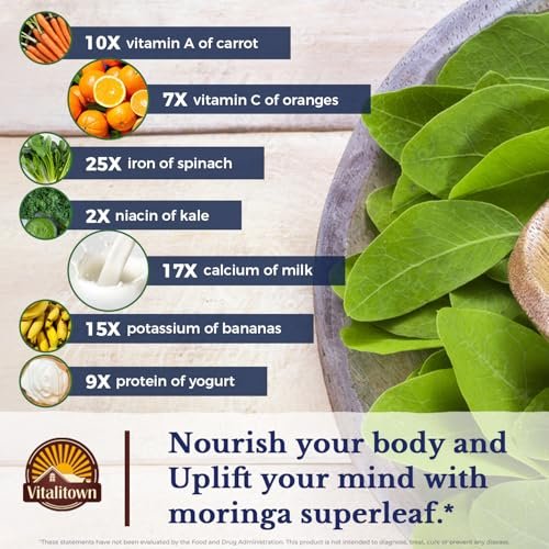 Vitalitown Moringa Kapseln – Reine Moringa Oleifera Blätter, Ohne Stängel, Kein Koffein, Energie & Immunsystem, 90 Kapseln