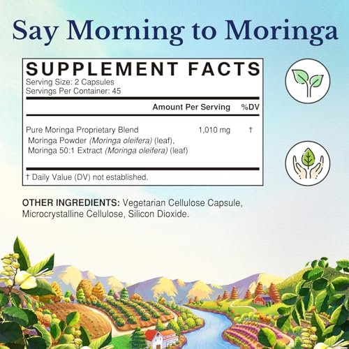 Vitalitown Moringa Kapseln – Reine Moringa Oleifera Blätter, Ohne Stängel, Kein Koffein, Energie & Immunsystem, 90 Kapseln