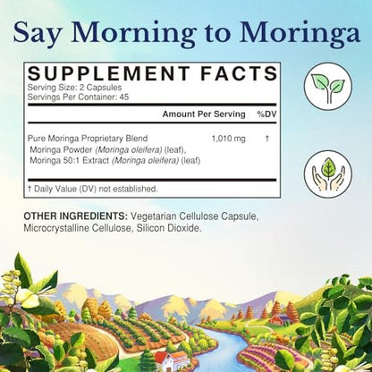 Vitalitown Moringa Kapseln – Reine Moringa Oleifera Blätter, Ohne Stängel, Kein Koffein, Energie & Immunsystem, 90 Kapseln