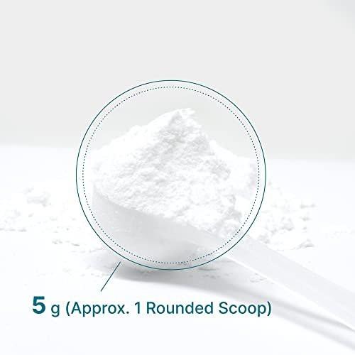 DEAL SUPPLEMENT Instant Creatine Monohydrat Pulver, 5g pro Portion – 60 Portionen | Mikronisiert, ungewürzt, schnell absorbierend | Ohne Füllstoffe, Nicht-GVO, Keto-freundlich, Vegan