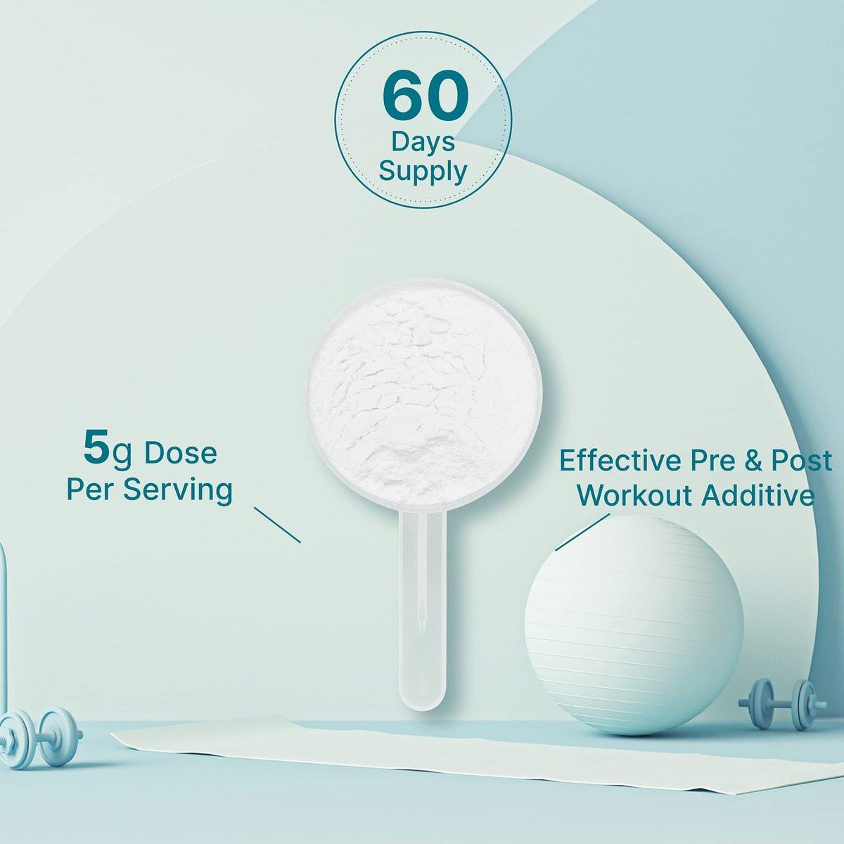 DEAL SUPPLEMENT Instant Creatine Monohydrat Pulver, 5g pro Portion – 60 Portionen | Mikronisiert, ungewürzt, schnell absorbierend | Ohne Füllstoffe, Nicht-GVO, Keto-freundlich, Vegan