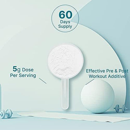 DEAL SUPPLEMENT Instant Creatine Monohydrat Pulver, 5g pro Portion – 60 Portionen | Mikronisiert, ungewürzt, schnell absorbierend | Ohne Füllstoffe, Nicht-GVO, Keto-freundlich, Vegan